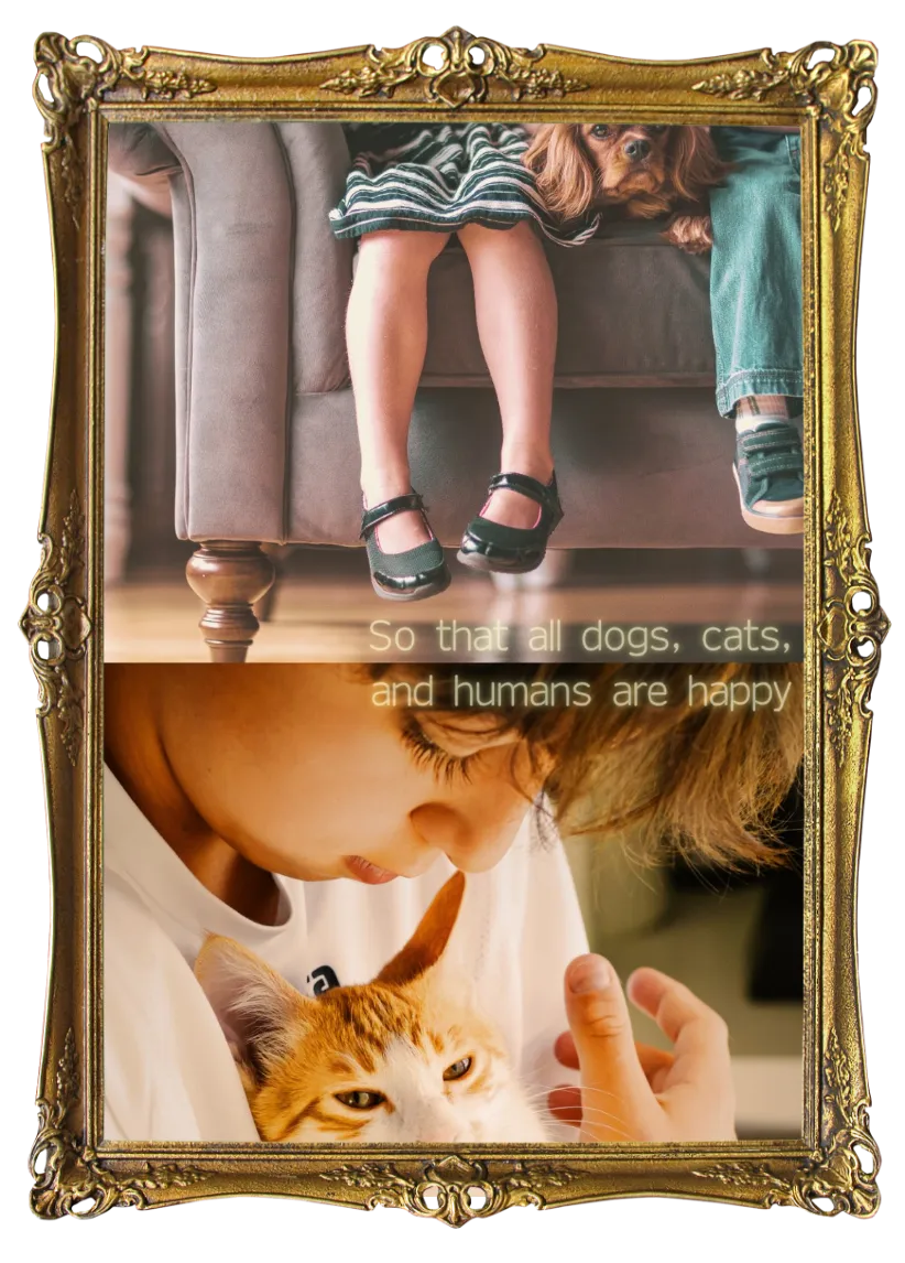 ペットケアヒーリングスクール(犬猫専科)